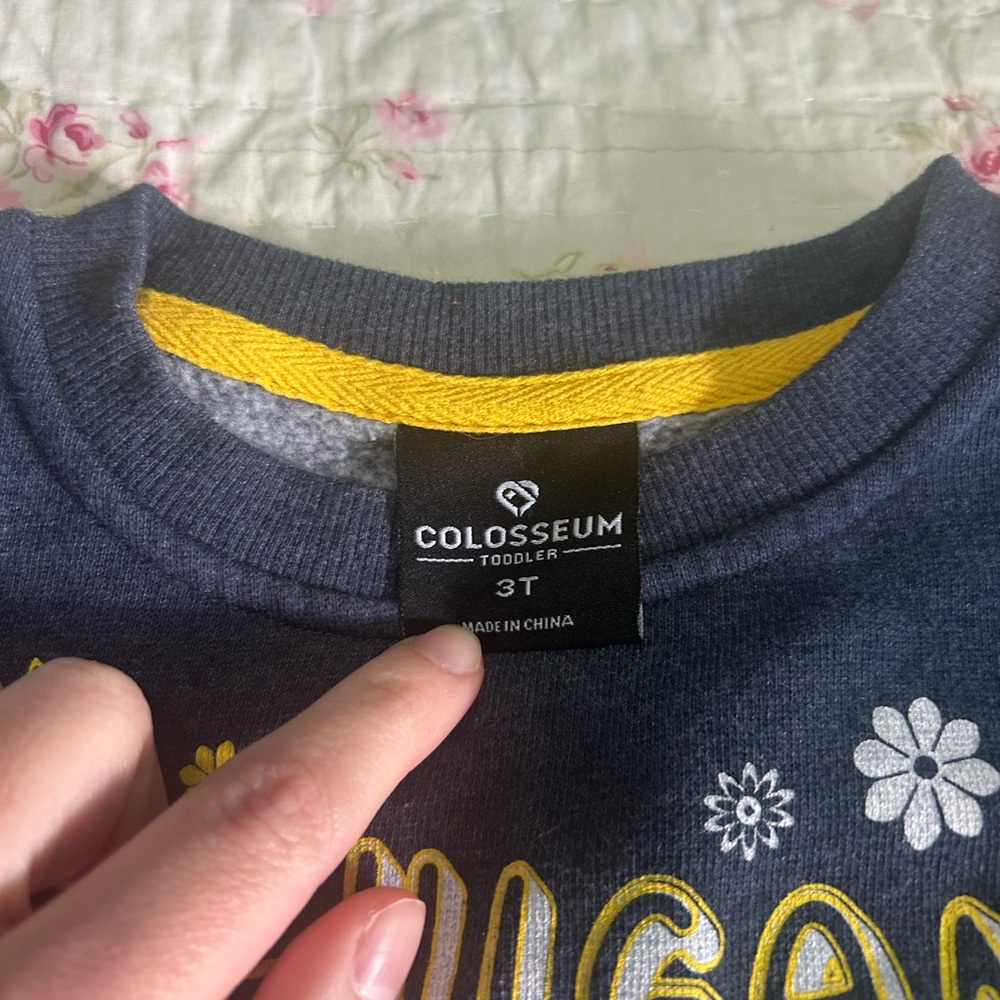 University of Michigan sweat set size 3T - Picture 5 of 5